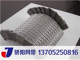 廠家直銷不銹鋼耐高溫人字型網(wǎng)帶