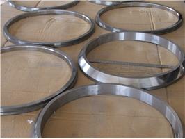 特大密封環(huán)