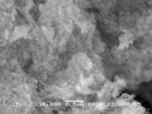 高比表面納米氧化鎳粉 