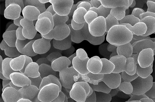 超細類球狀鈷粉